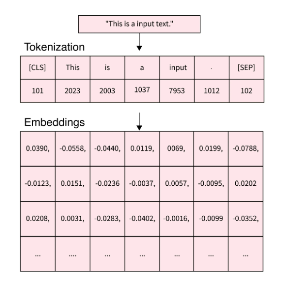 tokenization_then_embedding